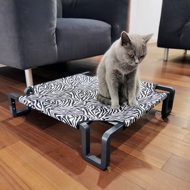 Cat sitting on a striped elevated cooling dog cot