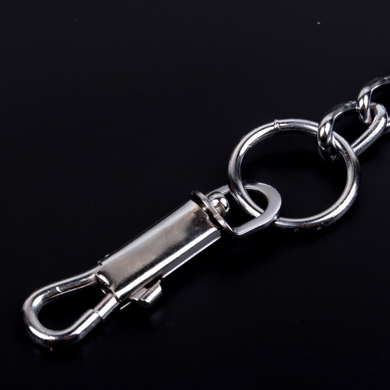 Close-up of the metal swivel clasp on a chain dog leash
