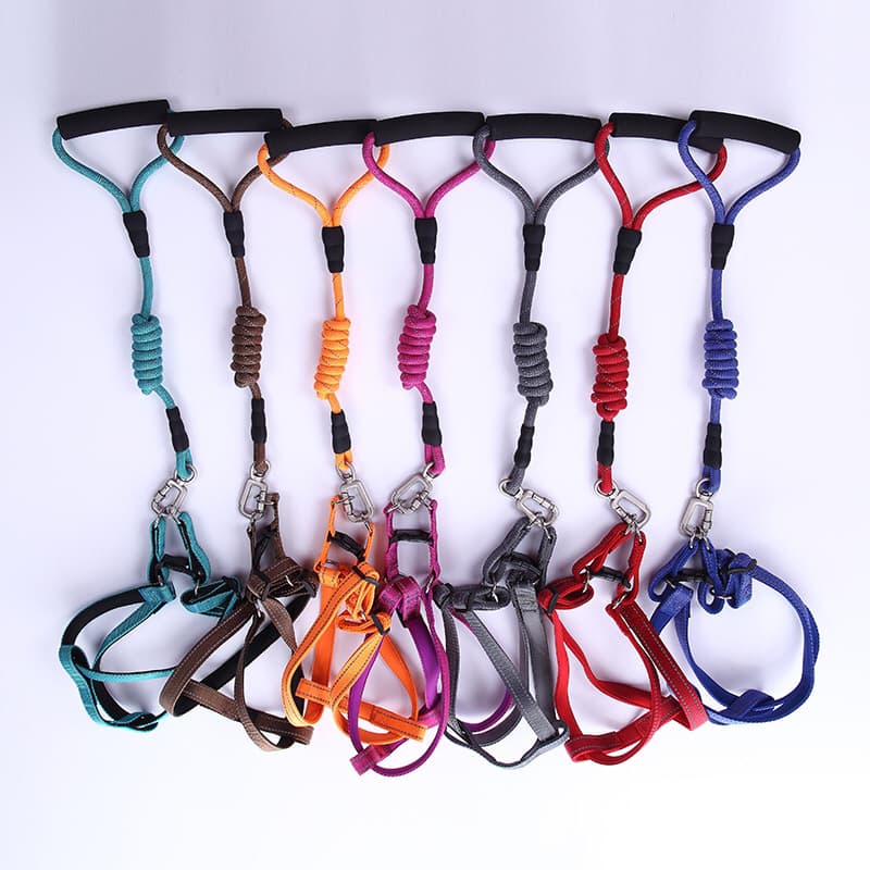 Leashes category image placeholder