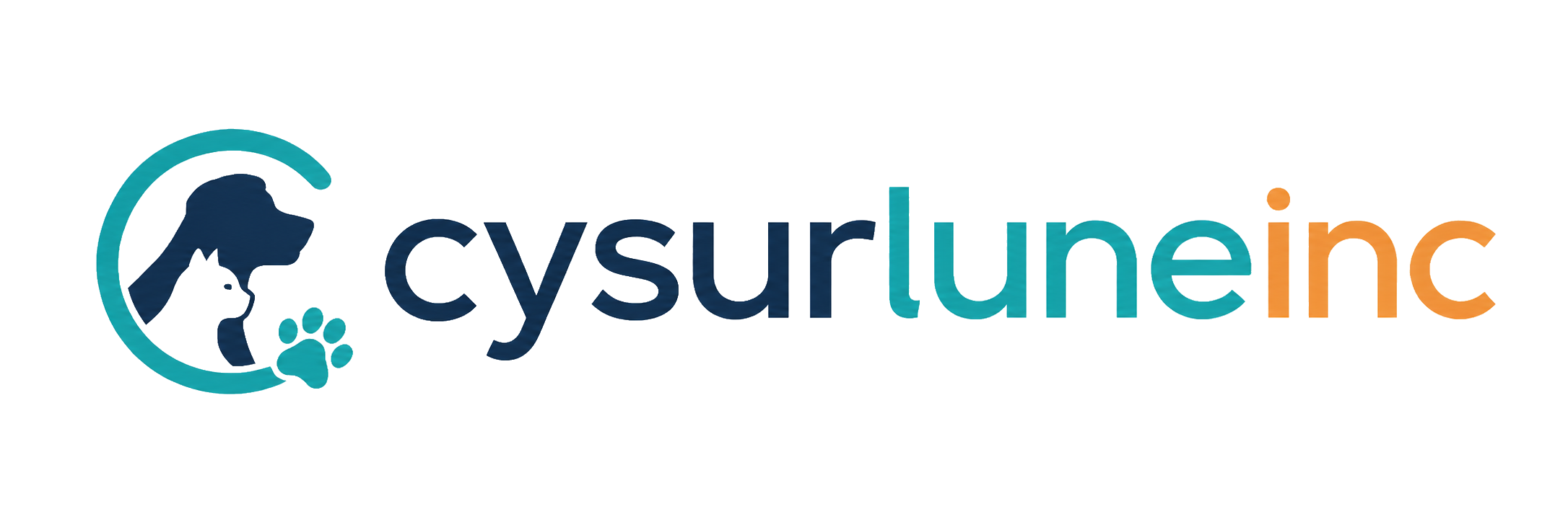CY SURLUNE INC